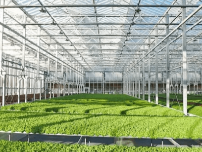 Sustainable Food Technology at CarletonU