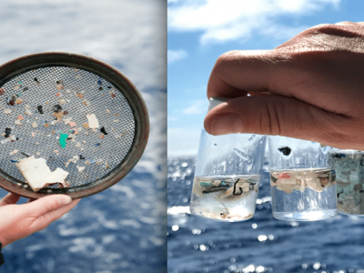 Micro-Plastic Research Expedition with Sail Britain