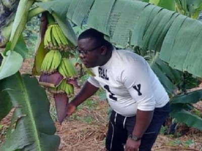 Byekwaso agricultural project