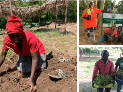 Help us plant 20k trees in Uganda!