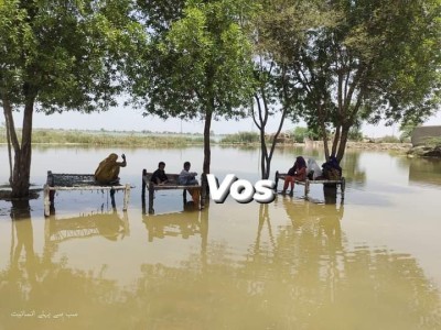 Heavy rainfall and floods have wrecked havoc across several areas of Balochistan