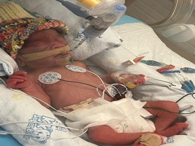 Support Roxy's Urgent Medical Journey