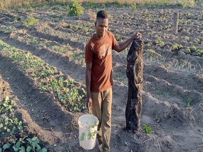 Raise money for Onion Farming at the village