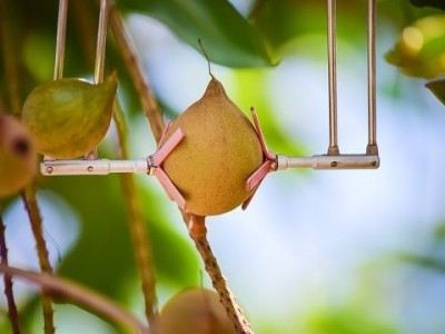 Support for Inventions and Innovations Development