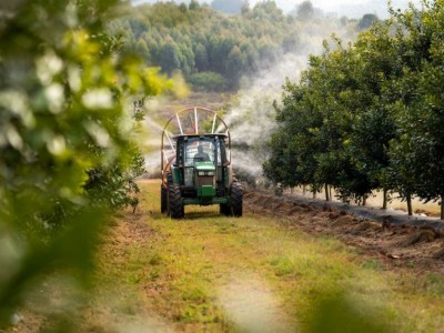 Improving yield through supplementary irrigation