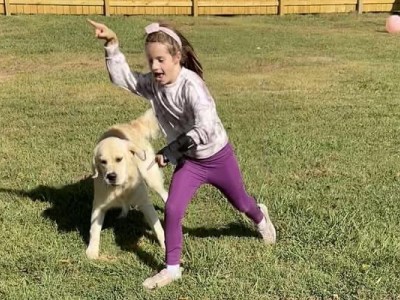 A Service Dog For Mattie.