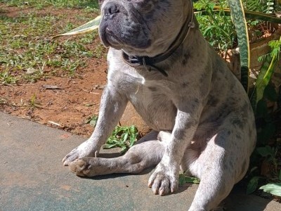 Help for Duki: Your Support is Vital!