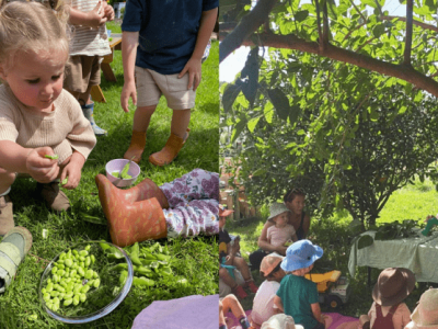 The Golden Grove – exploring nature and food together