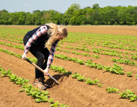 Farming